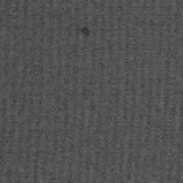 カメラチップ内 異物