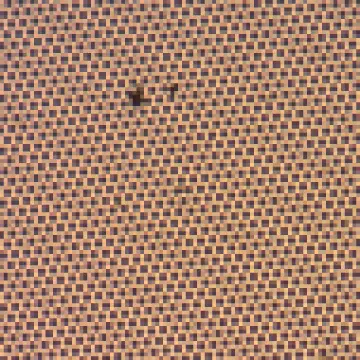 インプリント 異物